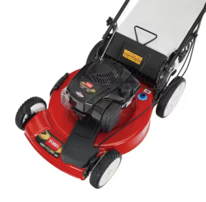 toro recycler 22 briggs and stratton oil type