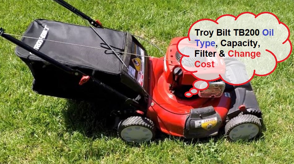 Troy Bilt TB200 Oil Type, Capacity, Filter & Change Cost